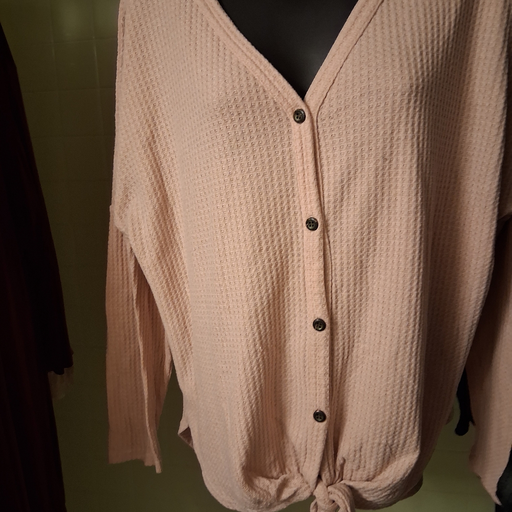 Elegant Blush Button-Up Blouse